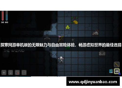 探索网游单机版的无限魅力与自由冒险体验，畅游虚拟世界的最佳选择